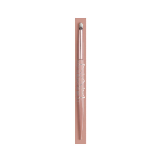 Precise Blending Brush